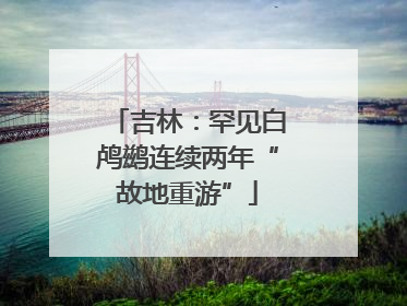 吉林：罕见白鸬鹚连续两年“故地重游”