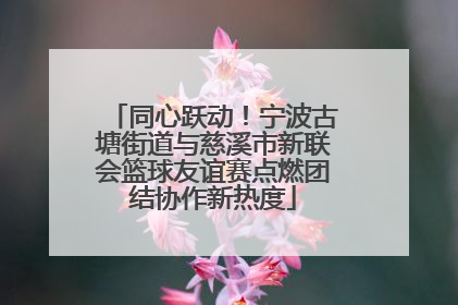 同心跃动！宁波古塘街道与慈溪市新联会篮球友谊赛点燃团结协作新热度