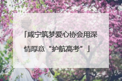 咸宁筑梦爱心协会用深情厚意“护航高考”