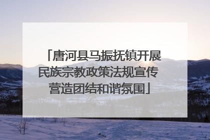 唐河县马振抚镇开展民族宗教政策法规宣传 营造团结和谐氛围