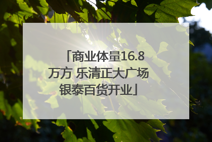 商业体量16.8万方 乐清正大广场银泰百货开业