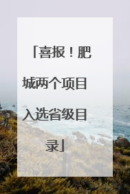 喜报！肥城两个项目入选省级目录