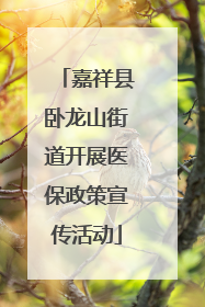 嘉祥县卧龙山街道开展医保政策宣传活动
