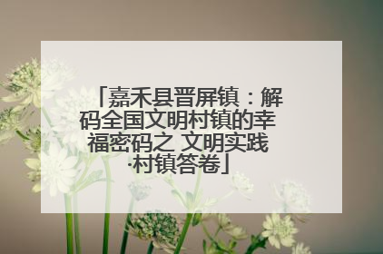 嘉禾县晋屏镇：解码全国文明村镇的幸福密码之 文明实践·村镇答卷