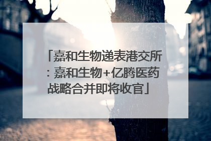 嘉和生物递表港交所：嘉和生物+亿腾医药战略合并即将收官