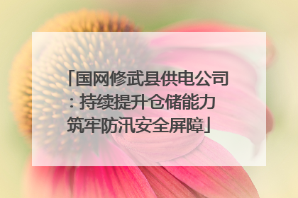 国网修武县供电公司：持续提升仓储能力 筑牢防汛安全屏障