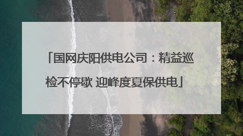 国网庆阳供电公司：精益巡检不停歇 迎峰度夏保供电
