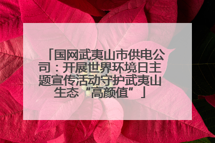 国网武夷山市供电公司：开展世界环境日主题宣传活动守护武夷山生态“高颜值”
