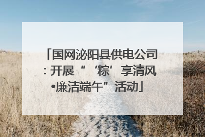 国网泌阳县供电公司：开展“‘粽’享清风 •廉洁端午”活动