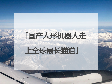 国产人形机器人走上全球最长猫道