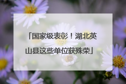 国家级表彰！湖北英山县这些单位获殊荣