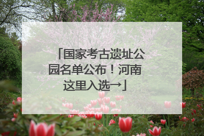国家考古遗址公园名单公布！河南这里入选→