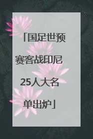 国足世预赛客战印尼25人大名单出炉