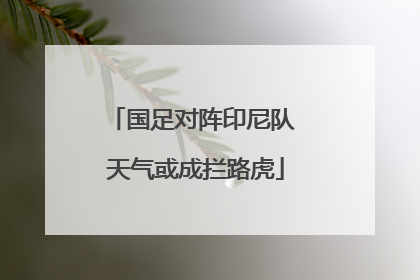 国足对阵印尼队 天气或成拦路虎