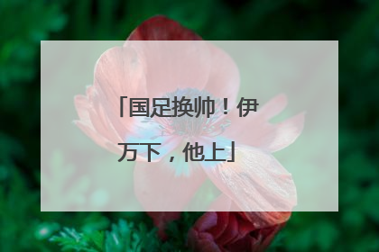 国足换帅！伊万下，他上
