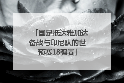 国足抵达雅加达备战与印尼队的世预赛18强赛