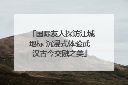 国际友人探访江城地标 沉浸式体验武汉古今交融之美