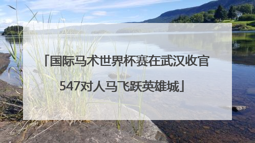 国际马术世界杯赛在武汉收官 547对人马飞跃英雄城