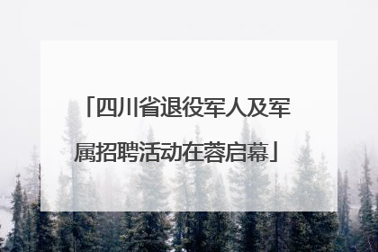 四川省退役军人及军属招聘活动在蓉启幕