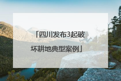 四川发布3起破坏耕地典型案例