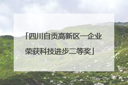 四川自贡高新区一企业荣获科技进步二等奖