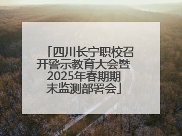 四川长宁职校召开警示教育大会暨2025年春期期末监测部署会