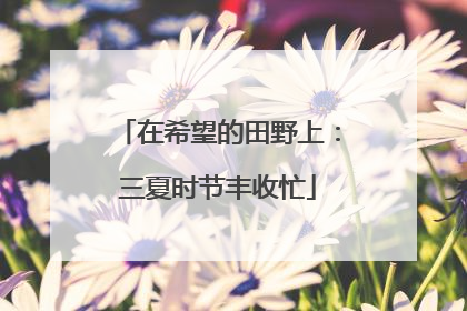 在希望的田野上：三夏时节丰收忙