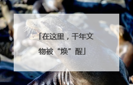 在这里，千年文物被“焕”醒