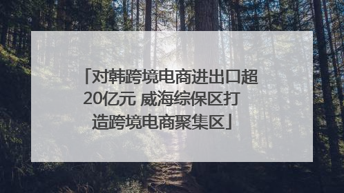 对韩跨境电商进出口超20亿元 威海综保区打造跨境电商聚集区