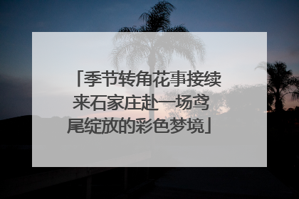 季节转角花事接续 来石家庄赴一场鸢尾绽放的彩色梦境
