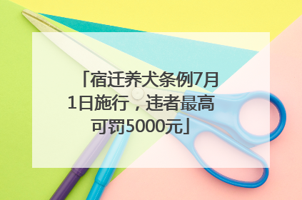 宿迁养犬条例7月1日施行，违者最高可罚5000元
