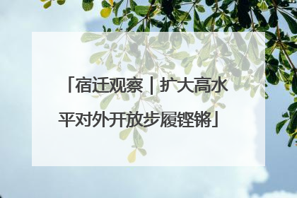 宿迁观察｜扩大高水平对外开放步履铿锵