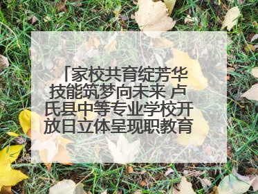 家校共育绽芳华 技能筑梦向未来 卢氏县中等专业学校开放日立体呈现职教育人新图景
