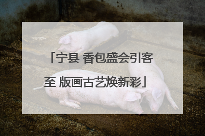 宁县 香包盛会引客至 版画古艺焕新彩