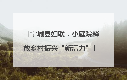 宁城县妇联：小庭院释放乡村振兴“新活力”