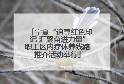 宁夏“追寻红色印记 汇聚奋进力量”职工区内疗休养线路推介活动举行