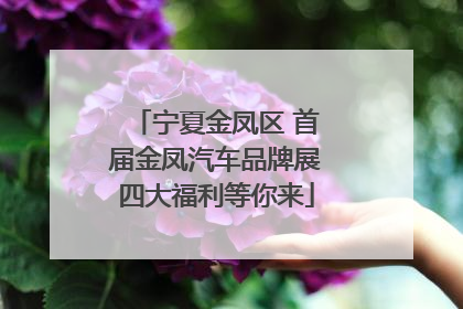 宁夏金凤区 首届金凤汽车品牌展四大福利等你来