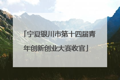 宁夏银川市第十四届青年创新创业大赛收官