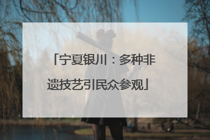 宁夏银川：多种非遗技艺引民众参观