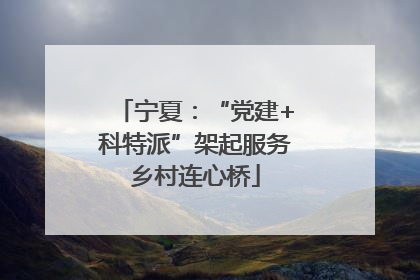 宁夏：“党建+科特派”架起服务乡村连心桥