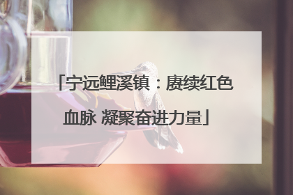 宁远鲤溪镇：赓续红色血脉 凝聚奋进力量
