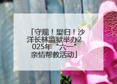 守规！望归！沙洋长林监狱举办2025年“六一”亲情帮教活动