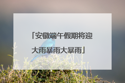 安徽端午假期将迎大雨暴雨大暴雨