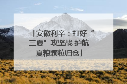 安徽利辛：打好“三夏”攻坚战 护航夏粮颗粒归仓