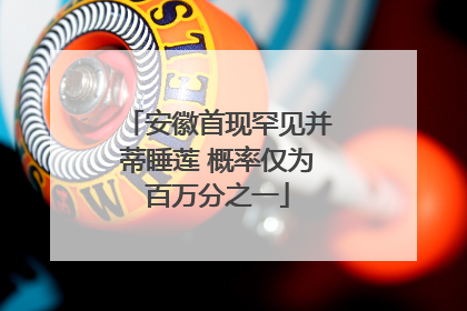 安徽首现罕见并蒂睡莲 概率仅为百万分之一