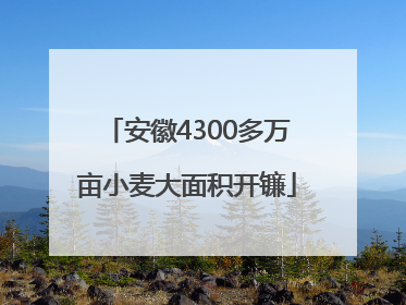 安徽4300多万亩小麦大面积开镰