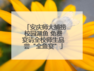 安庆师大捕捞校园湖鱼 免费宴请全校师生品尝“全鱼宴”