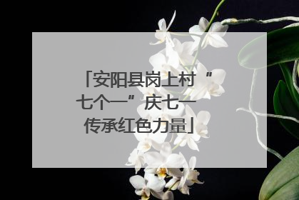 安阳县岗上村“七个一”庆七一 传承红色力量