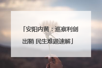 安阳内黄：巡察利剑出鞘 民生难题速解