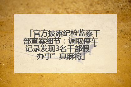 官方披露纪检监察干部查案细节：调取停车记录发现3名干部假“办事”真麻将